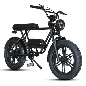 QUEENE Super Nouveauté Vélo à pneus larges rétro électrique Vélo électrique pas cher 73 Vélo électrique lourd - Product Image 3