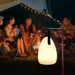 Lampade da tavolo in stile lanterna leggera con porta USB alimentate a batteria ricaricabile da esterno