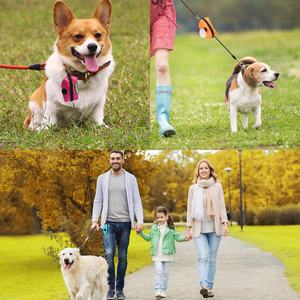 Dispensador portátil de bolsas para excrementos de perro, accesorio personalizado de fábrica, venta al por mayor - Product Image 3