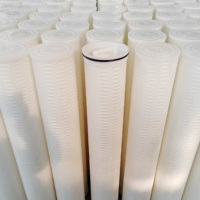Filtre à eau en cartouche de sédiments PP de 20 pouces, 1 micron, filtre plissé PP industriel de 5 microns, 10 x 2,5 pouces, 0,1, filtre de 10 pouces pour éliminer les bactéries