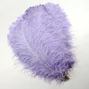 carnival costumes decoration ostrich plumes feather