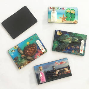 מפעל פולין מזכרות אפוקסי מכוסה רך מגנטי מדבקת מקרר מגנט - Product Image 2