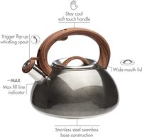 Bouilloire sifflante en acier inoxydable, bouilloire à eau chaude en acier inoxydable