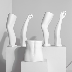 Venta al por mayor precio barato rodillera maniquí fibra de vidrio Hombre Deporte tienda mano rodillera pantalla maniquí para la venta - Product Image 2