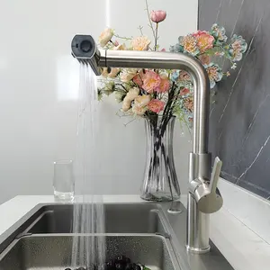 Modern Style torneiras de cozinha Duas Funções Pull out Kitchen Mixer Sink Taps Pull down Kitchen Faucets