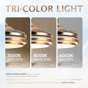 Ventilateur de plafond LED moderne de 42 pouces avec lumière rétractable et corps de lampe en fer télécommandé pour chambre salon - Product Image 3