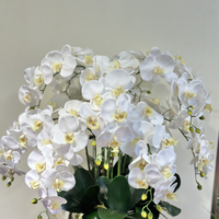 Fleurs artificielles Phalaenopsis M-38 pour le réveillon du Nouvel An, simulation de mariage, orchidée artificielle pour la décoration de la maison, des mariages et des fêtes
