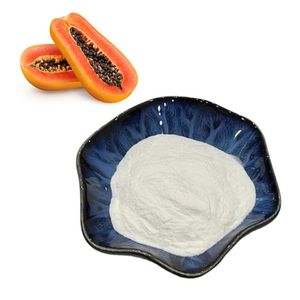 Polvo de Enzima de Papaya/Polvo de Enzima de Papaína de Grado Alimenticio 20000 U/G - Product Image 1