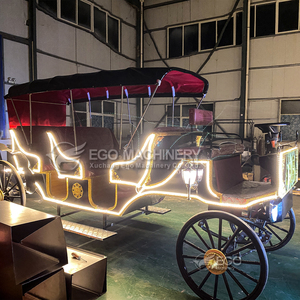 Carroza de Caballos para Bodas en Oferta, Fabricante de Carrozas con Decoración Luminosa, Carroza de Caballos Eléctrica para Paseos Turísticos Estilo Victoria - Product Image 5
