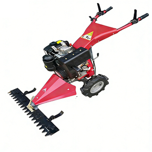 Débroussailleuse autoportée pour défrichage, moteur diesel 247cc, largeur de <span class=keywords><strong>coupe</strong></span> 80-120cm, hauteur réglable 1-8cm, pneus pleins - Product Image 3