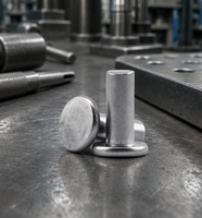 Rivets en acier inoxydable à tête ronde pleine, zingués, grade 4.8/8.8, norme ISO, fixation métallique, taille personnalisée, vente en gros directe usine OEM