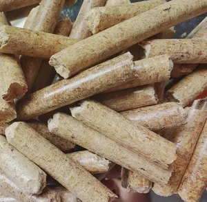 Pellet di biomassa ZHUOER vendita diretta pellet di legno