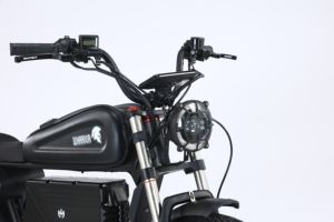 Bicicleta eléctrica de alta potencia de 1000W para adultos, bicicleta eléctrica de montaña de largo alcance con neumáticos gruesos, bicicleta todoterreno, motocicleta - Product Image 6