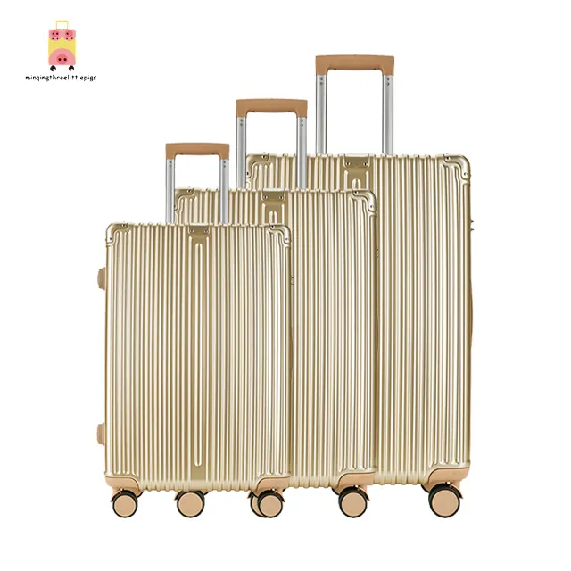 Factory Wholesale large other travel suitcases luggage sets Business trip Silent wheels TAS lock