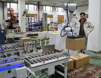 Ligne d'emballage et de palettisation automatique de sachets dans des cartons – Machine d'emballage de cartons à dépose de sachets – Emballeuse de cartons à dépose de sachets