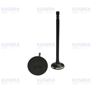 Soupape de moteur d'admission et d'échappement Premium 05047917AA 05048022AA pour JEEP Wrangler Grand Cherokee Chrysler <span class=keywords><strong>Dodge</strong></span> 3.6L ERC ERB - Product Image 5