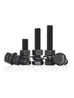 Vis hexagonale externe de grade 8.8, entièrement filetée, en acier à haute teneur en carbone, noircie, sans écrous, accessoires complets, boulon allongé