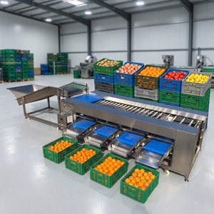 Calibrateur de qualité industrielle Moxin respectueux de l'environnement pour agrumes, citrons verts et pomelo - Product Image 1