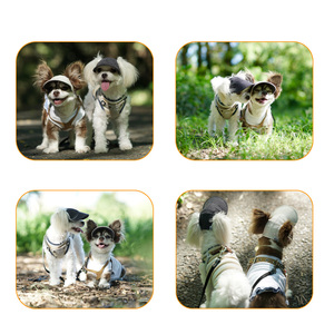 Boné de Sol Personalizado para Cães, Chapéu de Tecido para Esportes ao Ar Livre para Pets, Boné de Lona Ajustável com Viseira e Abertura para Orelhas - Product Image 5