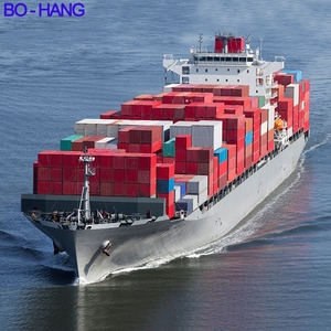 Agente de Transporte Marítimo de Contenedores DDP FCL FBA de China a Estados Unidos, Gran Bretaña, Italia, Holanda, Alemania y Francia - Product Image 3