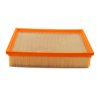 Filtro de Aire para Autopartes para JMC E9P29601AA LX3978 9P29601AA