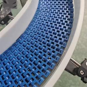 Transportador de Cadena Modular de Plástico POM PP con Marco de Acero Inoxidable de Grado Alimenticio de Alta Calidad para Línea de Producción - Product Image 3