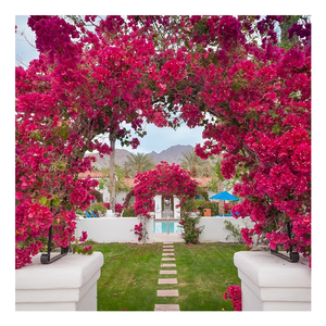 Tanaman Sutra Buatan LUYI, Rangkaian Bunga Bougainvillea, Dekorasi Dinding Taman, Dekorasi Luar Ruangan & Dalam Ruangan