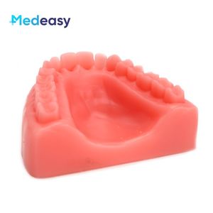 Coussin d'entraînement de suture dentaire, modèle dentaire pour la pratique de la suture, coussin de suture orale avec plaies - Product Image 4