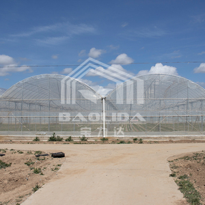 Invernadero Tipo Quonset, Invernadero de Túnel, Invernadero Multi-span - Product Image 4