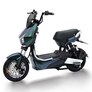 자전거 컴팩트 여성 20000W Sushida 30 $ 와 트레일러 E 리튬 이온 바테리아로드 레이싱 다이노 4 륜 전기 자전거