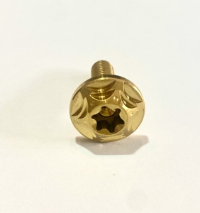 Giá cả cạnh tranh GR5 M6 M8 M10 Titan đĩa boltstitanium ốc vít với phong cách khác nhau Titan CNC bu lông GR5 - Product Image 3