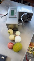 Hoge Efficiëntie Automatische Fruit Schilmachine Commerciële Elektrische Schiller voor Sinaasappel Citroen Appel Kiwi Voedselverwerking