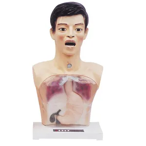 ADA-H4-1 Transparent gastric lavage mechanism teaching model simulator With alarm for medical nursing training manikins