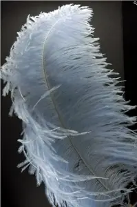 Pièce maîtresse de décoration de fête en plumes d'autruche - Product Image 5