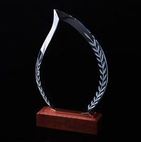 Trophée en cristal tranchant vierge avec MH-NJ0141 de base en bois