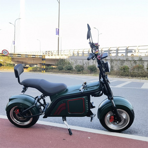 Motocicletas Eléctricas con Certificación EEC COC, Suministro Directo de Fábrica, Largo Alcance, 1500W 2000W, Neumáticos Anchos, Motos Eléctricas/Citycoco - Product Image 6