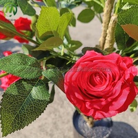 Plantes et fleurs artificielles hautement réalistes, décoration de plantes artificielles, arbre de roses artificielles pour l'aménagement paysager du jardin