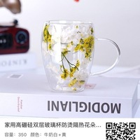 Tasse en verre borosilicate à double paroi, simple, élégante et intéressante – Écologique, transparente, style américain, pour café et thé