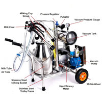 Machine à traire électrique automatique portable pour vaches, moutons, chèvres et autres animaux laitiers - Prix compétitifs