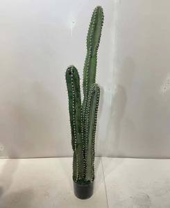 Plantas de <span class=keywords><strong>cactus</strong></span> de interior Bonsai Decoración del hogar Maceta de <span class=keywords><strong>cactus</strong></span> Planta verde artificial - Product Image 4