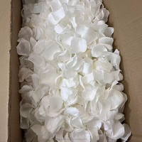 Pétales de rose préservés faits à la main de haute qualité, blanc neige, 100% naturels, écologiques, confettis de fleurs séchées, pour la Saint-Valentin