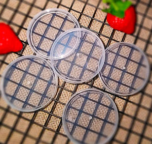 Coperchio in Plastica Trasparente da 55mm per Lattine di Bibite, Tappo in Plastica per Lattine, Vendita Calda - Product Image 3