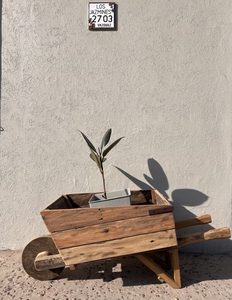 Rústico hecho a mano madera flor carretilla maceta estación jardín vagón decoración caja para exteriores Jardín elevado cama maceta - Product Image 3