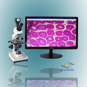 BD-35TV <span class=keywords><strong>prix</strong></span> concurrentiel Binoculaire Électrique <span class=keywords><strong>microscope</strong></span> biologique - Product Image 6