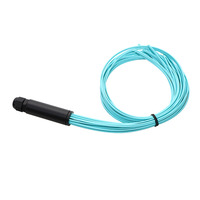 Kabel Serat Optik Spider 48-Core Singlemode/Multimode Indoor/Outdoor Custom, Kit Fanout Breakout, Mendukung GPRS/IP/POE, FTTH Fiber