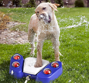 Fuente de Agua Automática para Perros, Juguete de Agua para Mascotas, Activación con la Patita, Rociador de Agua para Perros - Product Image 1