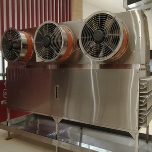 Enfriador de Aire Industrial Montado en Techo, Evaporador para Cámaras Frigoríficas, Descongelación por Gas Caliente, Enfriador de Aire para Cuartos Fríos - Product Image 5