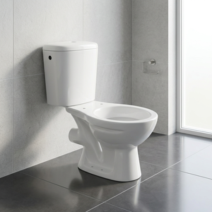 Inodoro de Cerámica Premium de Dos Piezas, Montado en el Suelo, con Doble Descarga y Sifón en P, Fabricado en India - Product Image 3