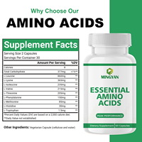 Capsules d'acides aminés essentiels OEM/ODM – Tous les 9 pour la récupération et la croissance musculaire – Mélange complet d'EAA – 2 capsules par dose – Fitness