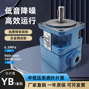 Pompe à aubes série Yb1 6,3 Mpa 960-1450 tr/min, pompe à huile hydraulique à faible bruit pour système à moyenne et basse pression - Product Image 2